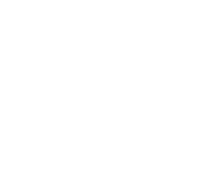 American Eagle Outfitters®