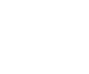 Fitbit