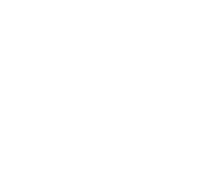 Dollar Tree