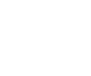 Vitamix