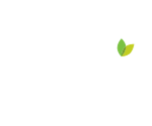 Shaw's