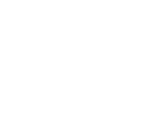 DoctorInsole