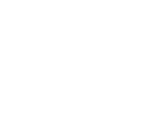 Traeger Grills