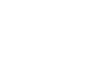 BuyDig