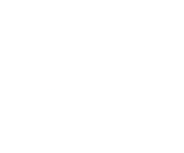 Dell Outlet