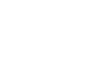 Ramy Brook