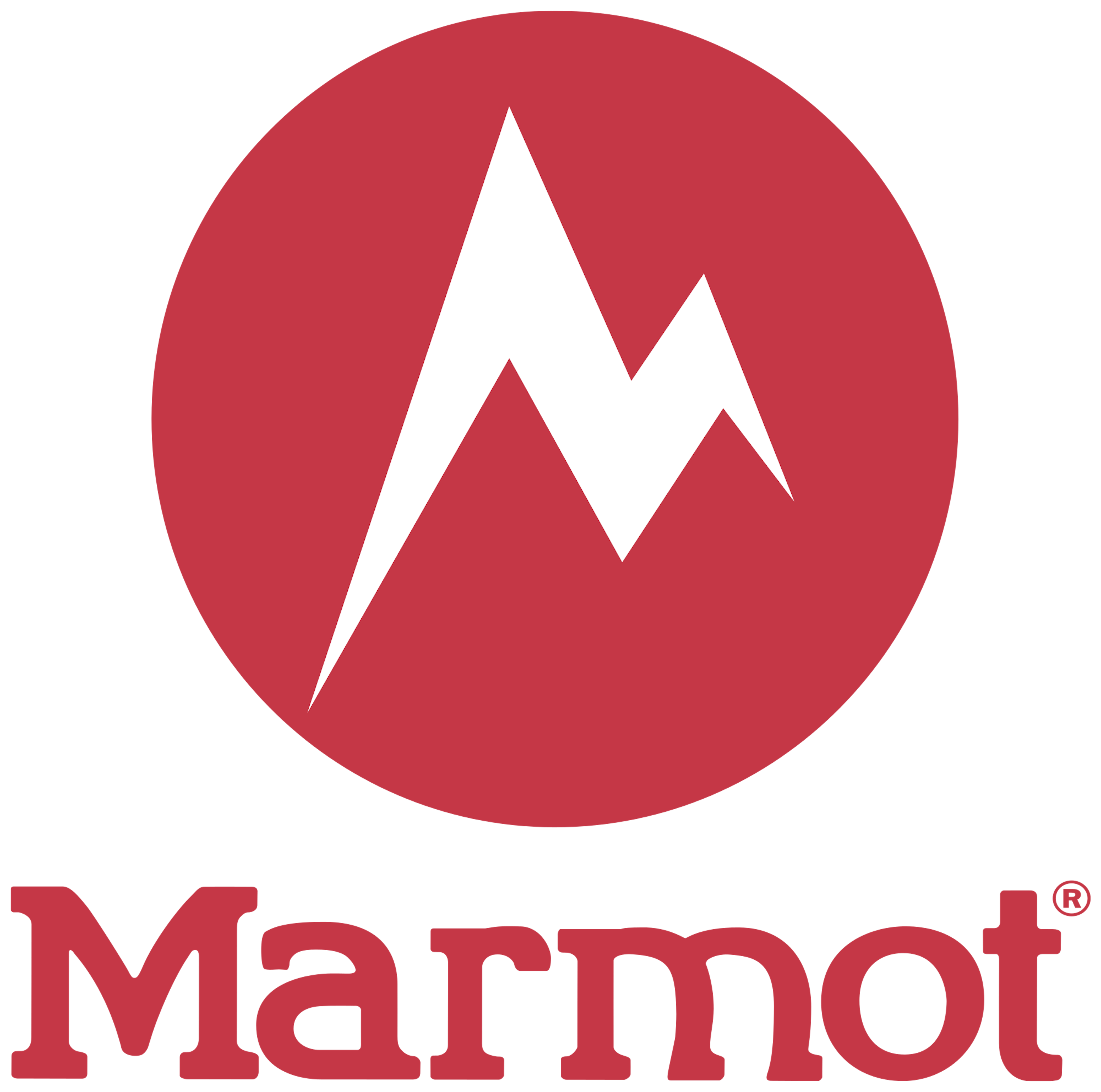 Marmot