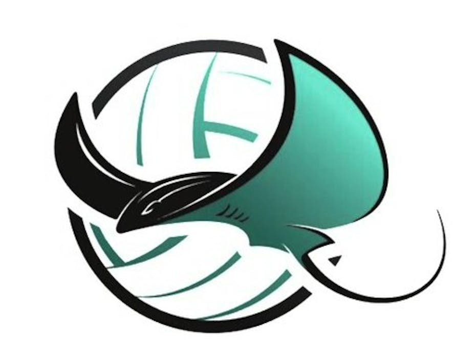 SPONSOR A STINGRAY SPONSOR A STINGRAY
