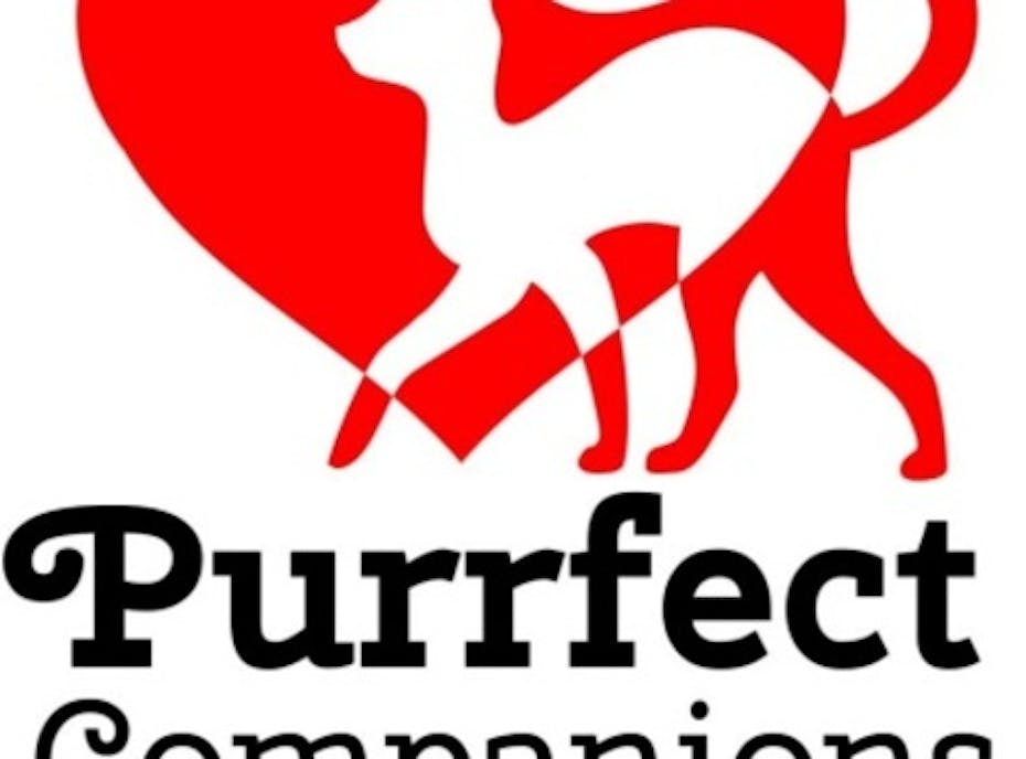 Purrfect Companions of Norfolk Cat Rescue & Adoption Purrfect Companions of Norfolk Cat Rescue & Adoption