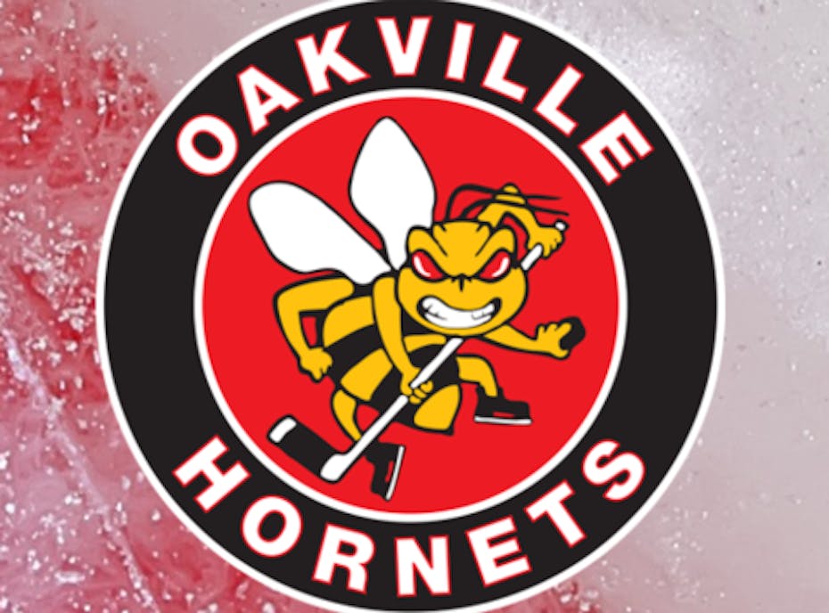 Oakville Hornets Novice B