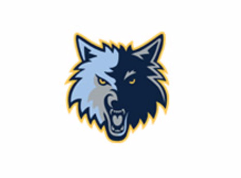 Novice Timberwolves Novice Timberwolves
