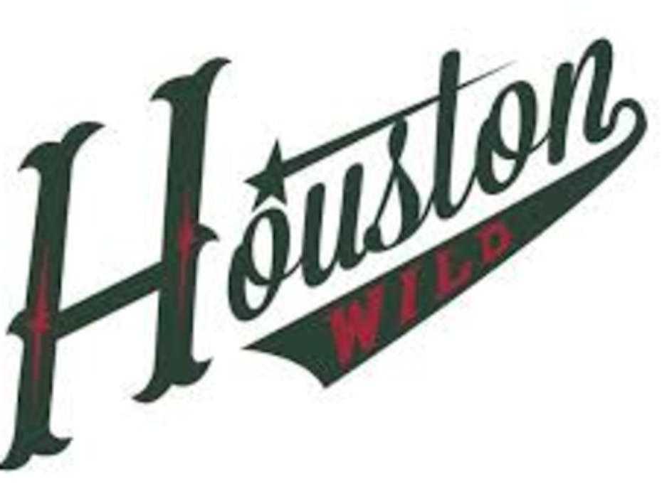 Houston Wild 2019/20 14UAA (LaBrosse)