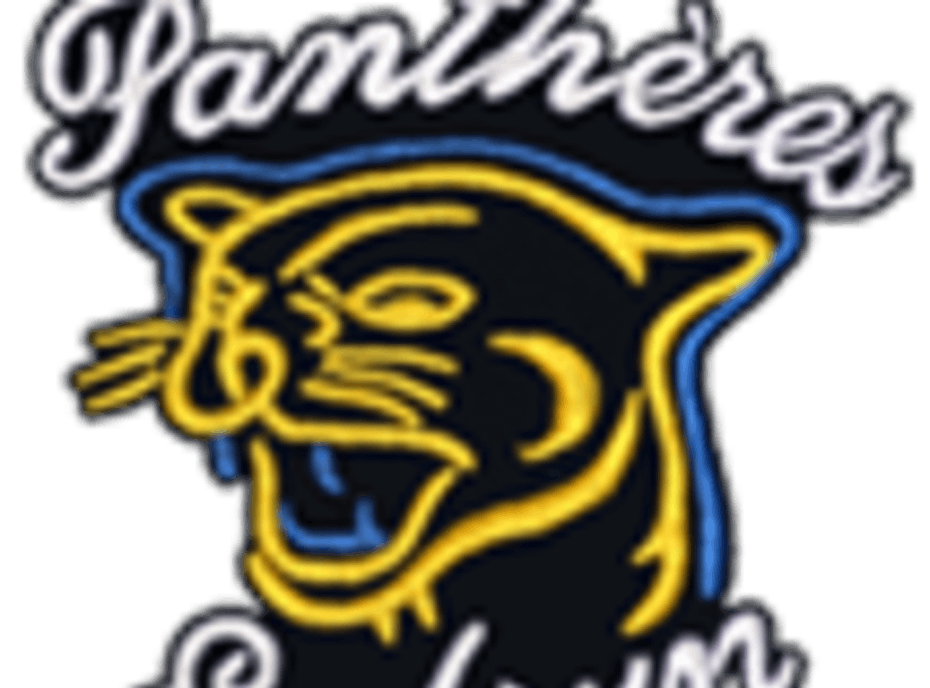 Embrun Panthers Atom B