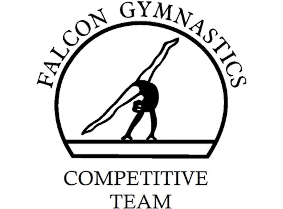 Falcon Gymnastics Competitive Team Falcon Gymnastics Competitive Team