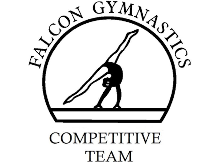 Falcon Gymnastics Competitive Team