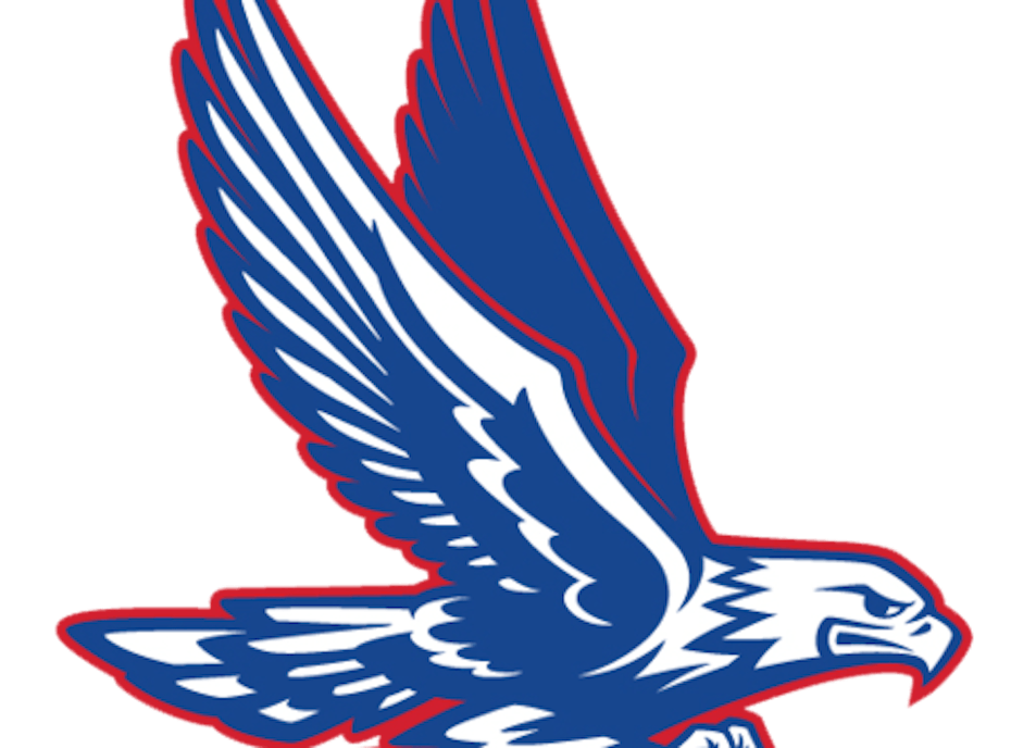 Central Academy of Excellence Eagles Central Academy of Excellence Eagles