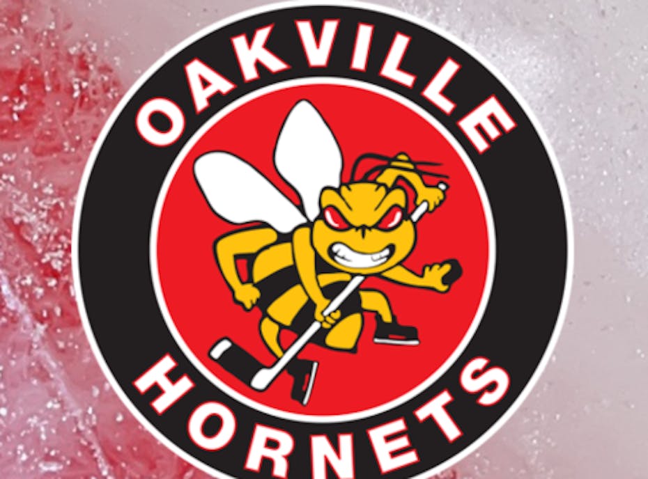 Oakville Hornets Atom B 2018-2019