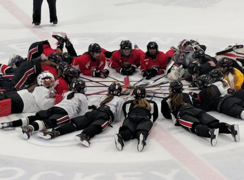 Oakville Hornets Bantam B - Rego