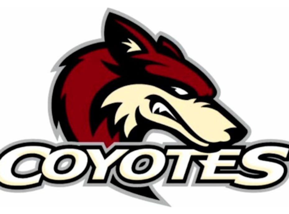 AAA Coyotes Atom 08s