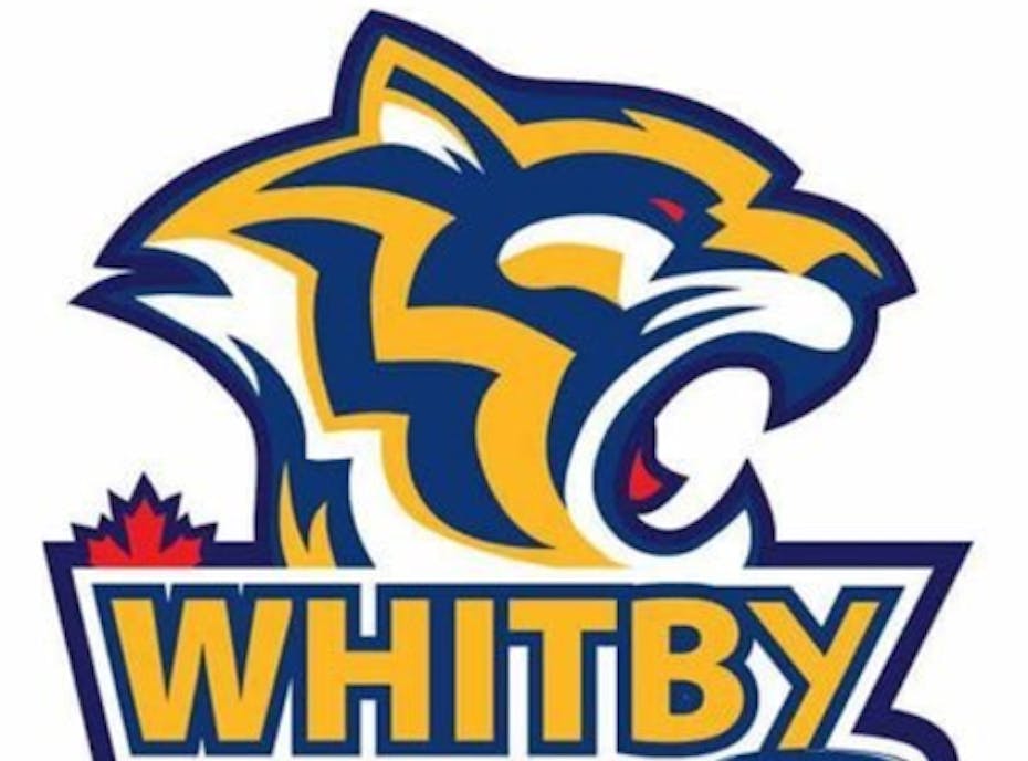 WMHA MinorBantam A White 2018/2019