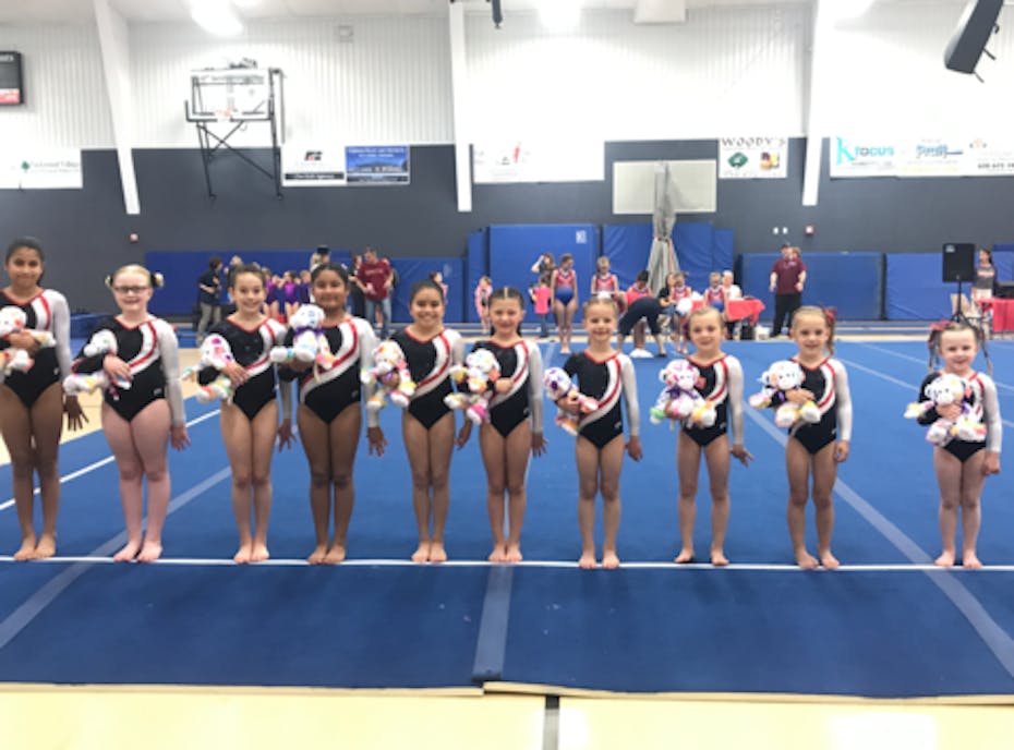 Flip Zone Gymnastics Flip Zone Gymnastics