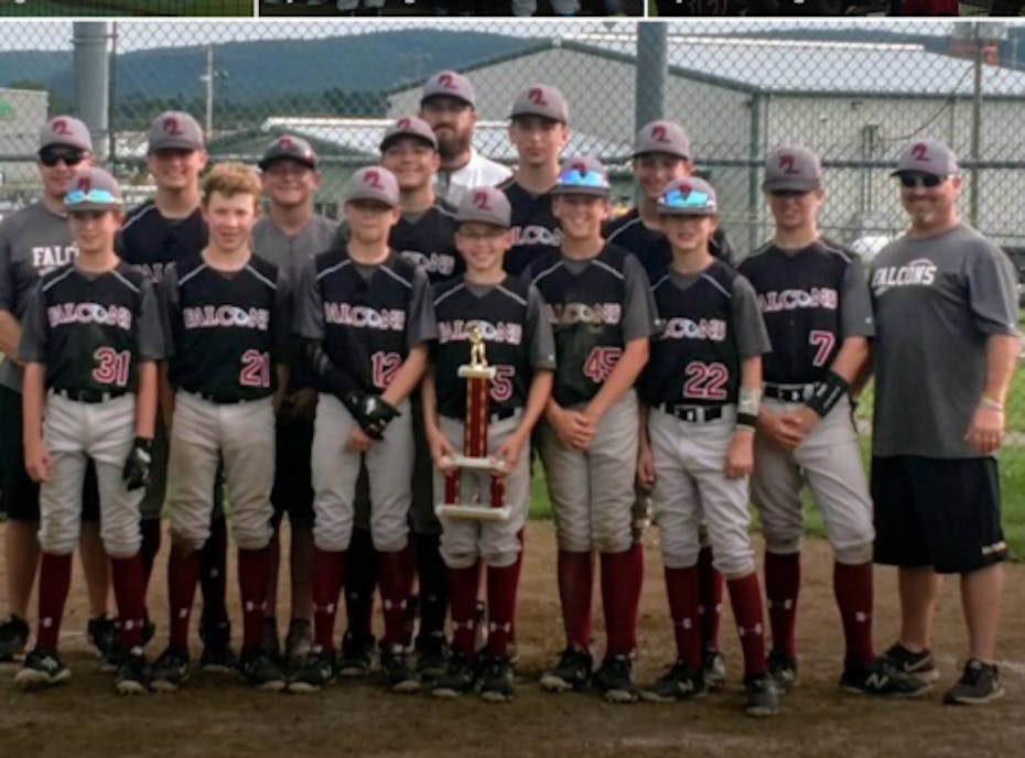 Finger Lakes Falcons Brown Finger Lakes Falcons Brown