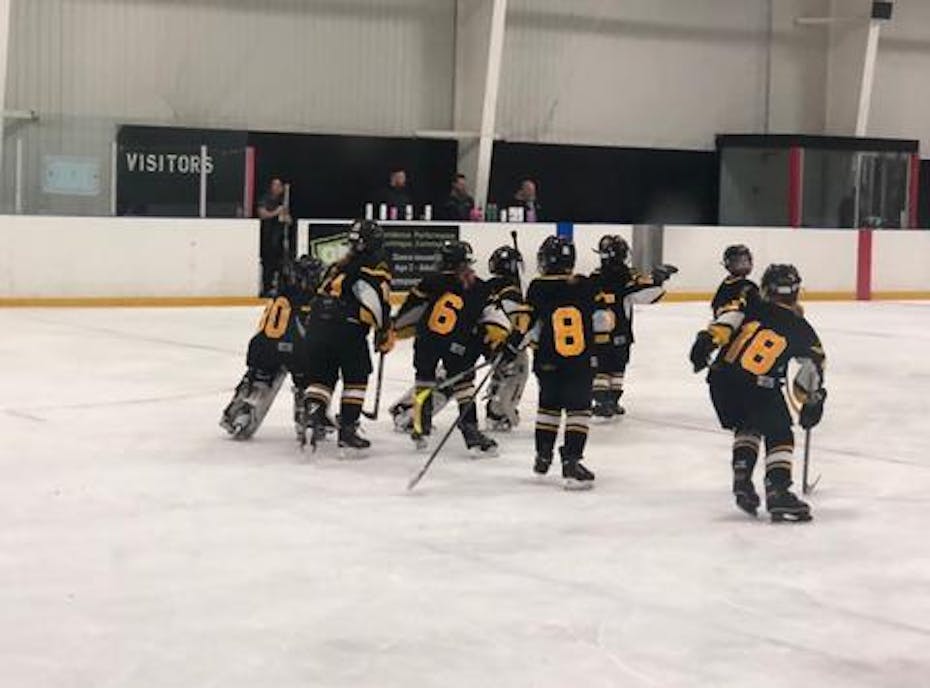 Waterloo Ravens Novice B 2018-19 Waterloo Ravens Novice B 2018-19