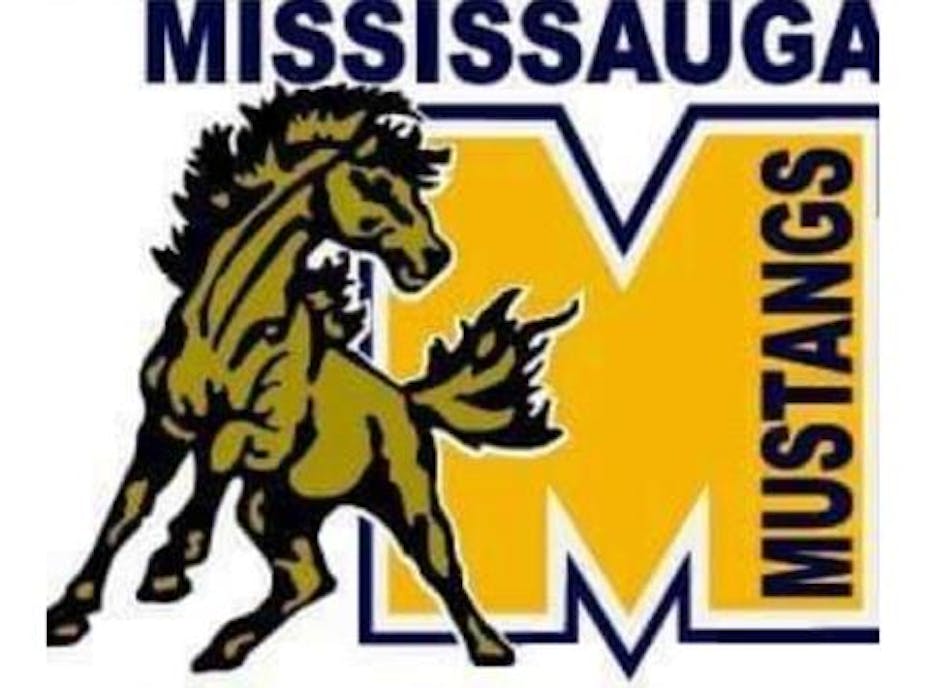 Mississauga Mustangs U10 2018/19 Season