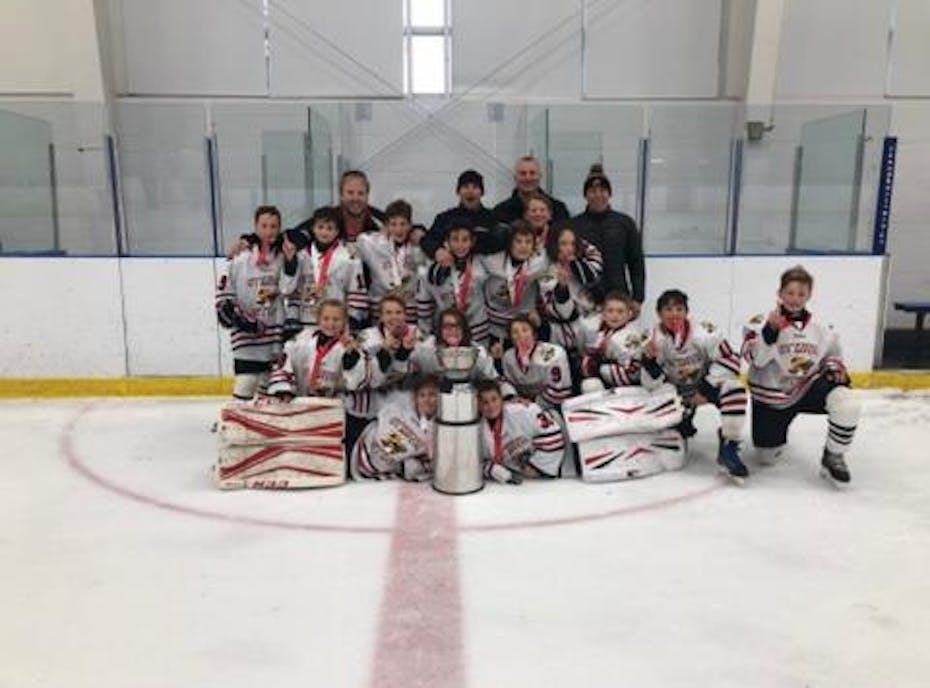 Ottawa Sting Major Atom A Ottawa Sting Major Atom A