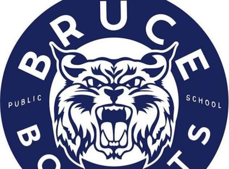 Bruce Public School 