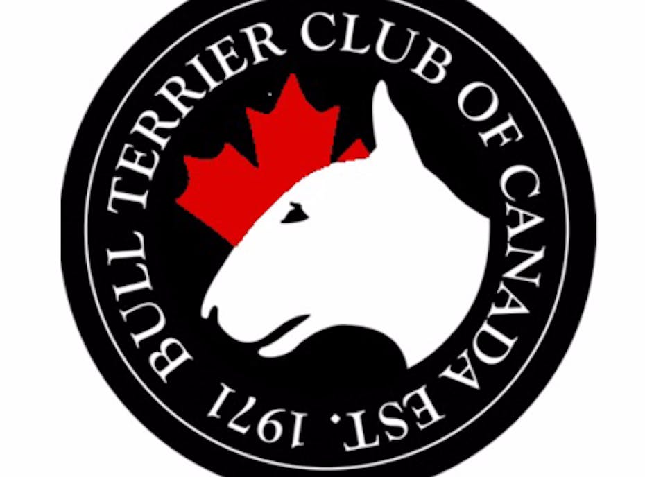 Bull Terrier Club of Canada Bull Terrier Club of Canada