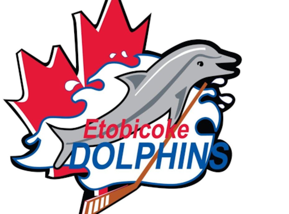 Dolphins Atom DS Dolphins Atom DS