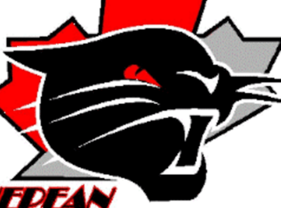 Nepean Wildcats PCB