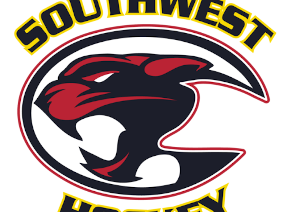 SW Cougars Novice 3 Gold SW Cougars Novice 3 Gold
