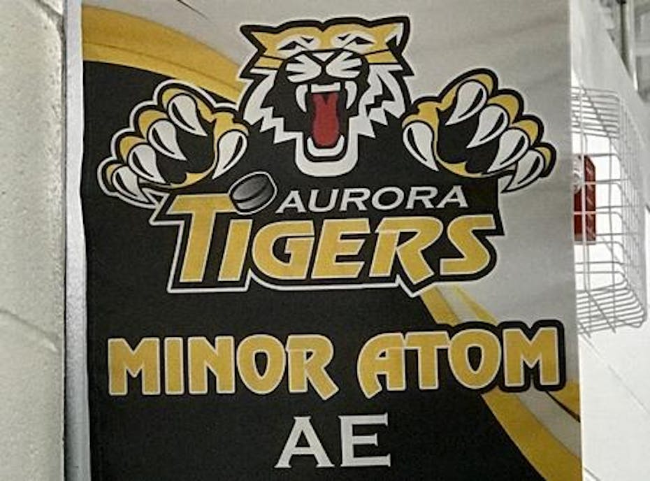 AMHA Minor Atom AE- GO Tigers!