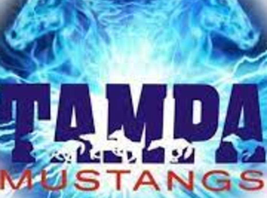 TAMPA MUSTANGS TAMPA MUSTANGS