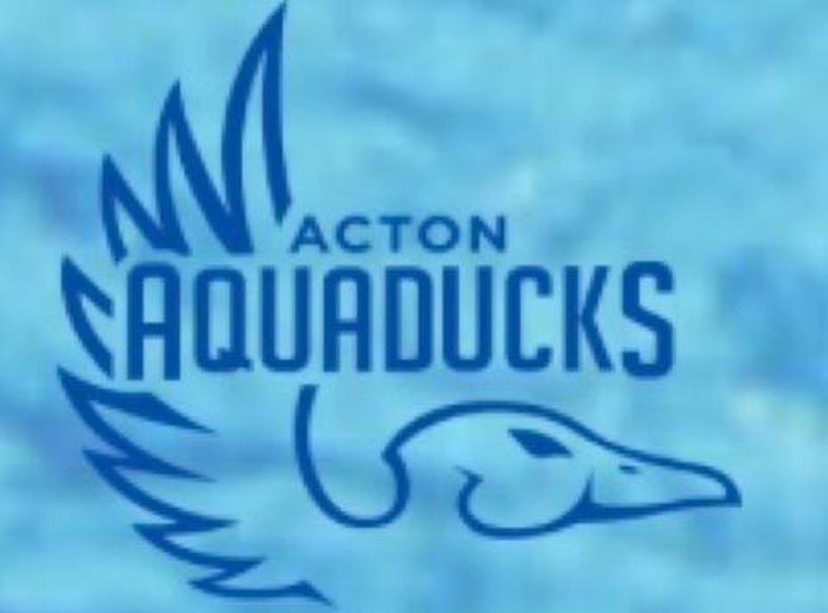 Acton Aqua Ducks