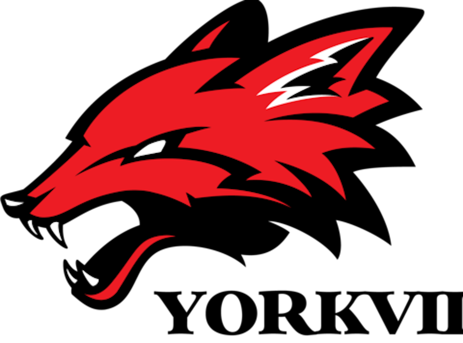 2022 14U Yorkville Foxes 2022 14U Yorkville Foxes