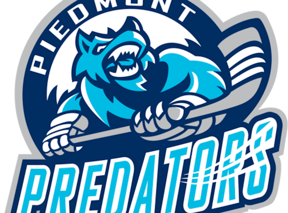 Piedmont Predators 10U Sky