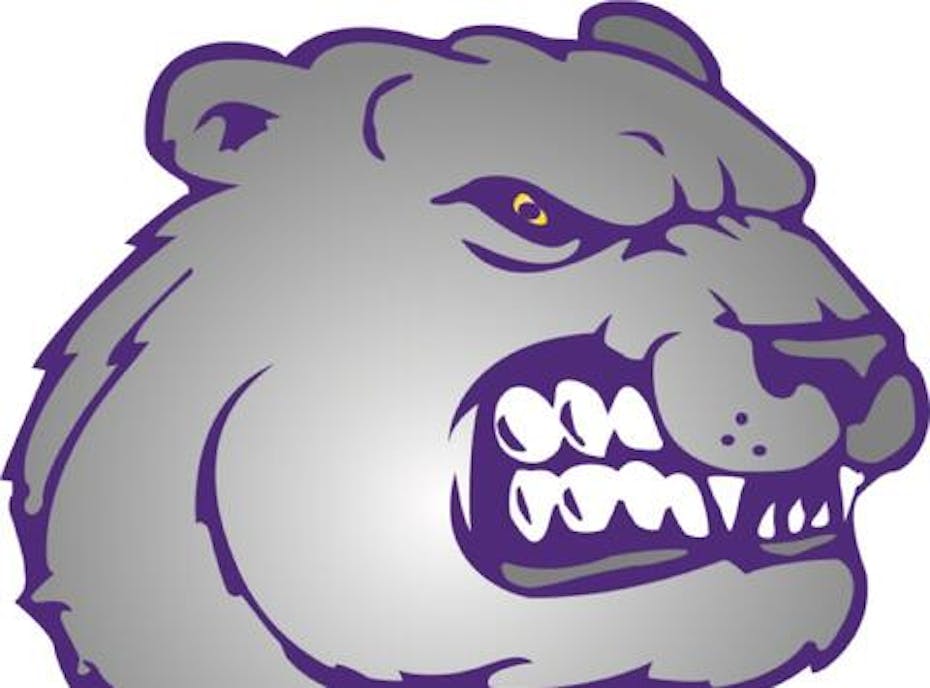 Jackson Bears 13u Purple Jackson Bears 13u Purple