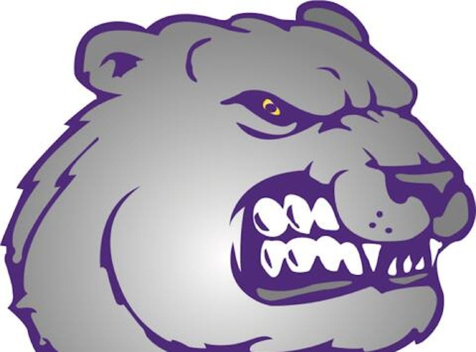 Jackson Bears 13u Purple