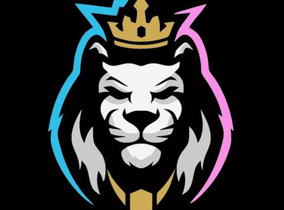 JLSA Lions JLSA Lions