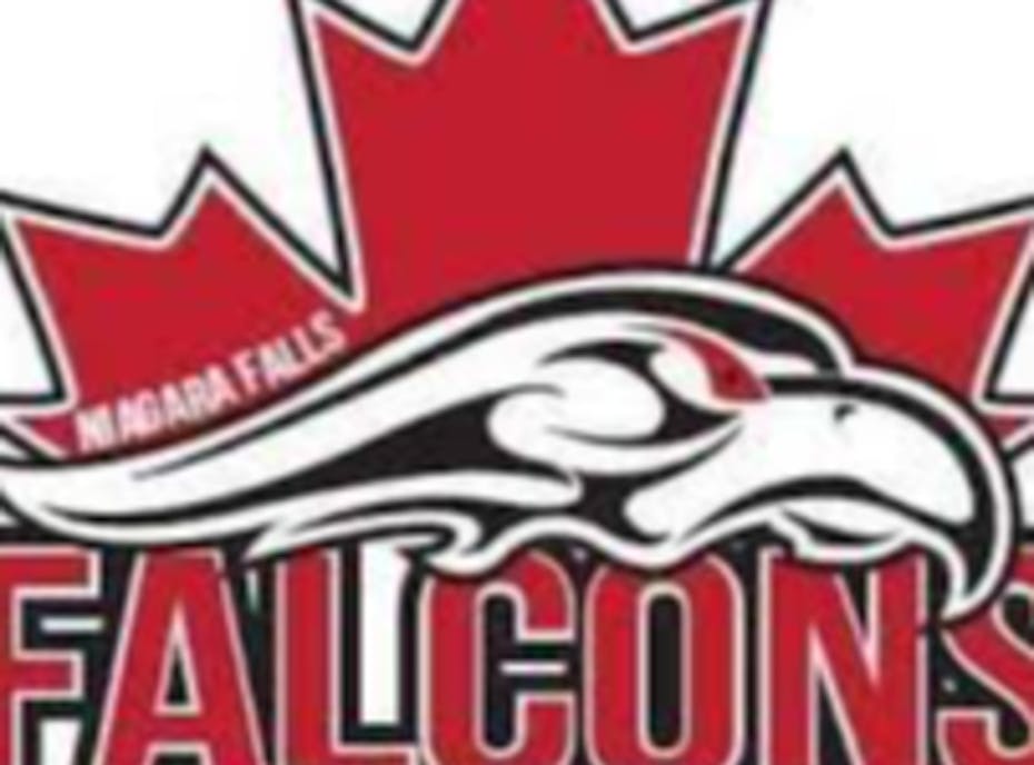 8U Niagara Falls Falcons 8U Niagara Falls Falcons