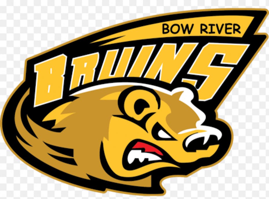 Bow River Bruins U9 2 GOLD