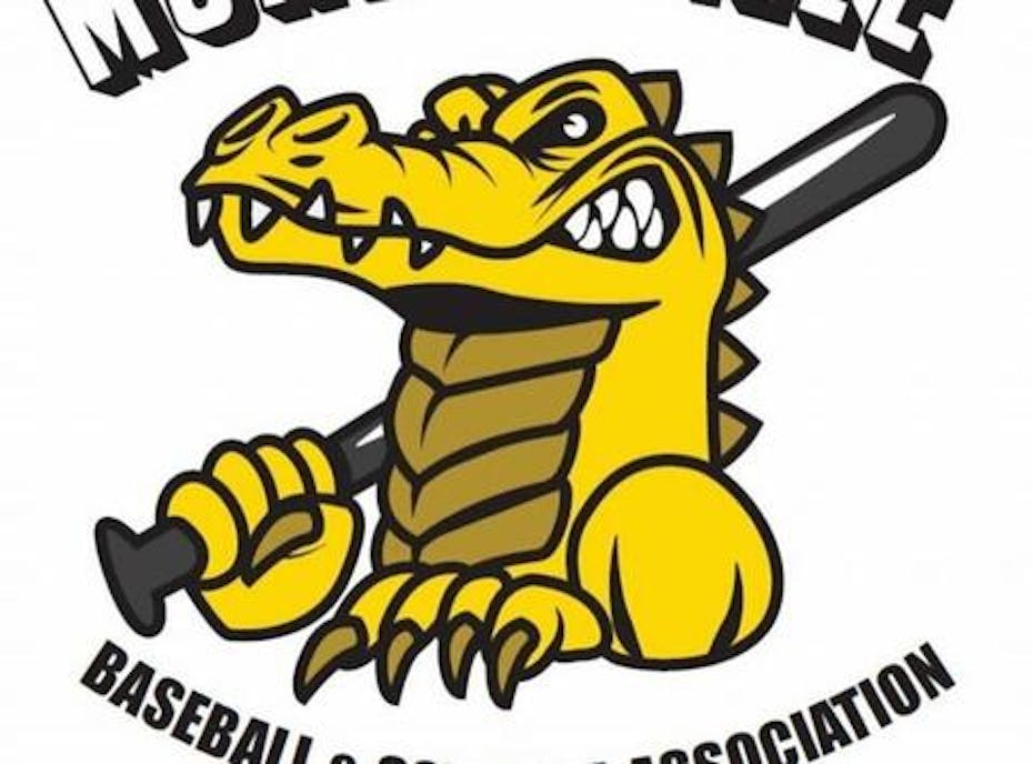 Monroeville 12U Tournament Team 2023 Monroeville 12U Tournament Team 2023