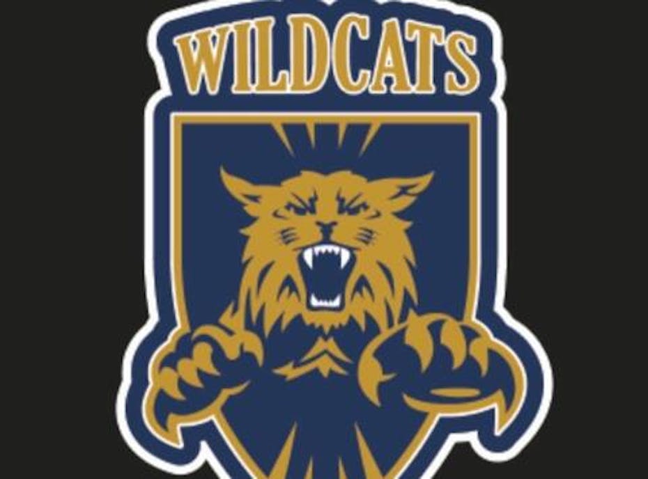 U18AA MidIsle Wildcats