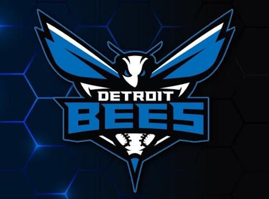 14U Detroit Bee's - MRT 14U Detroit Bee's - MRT