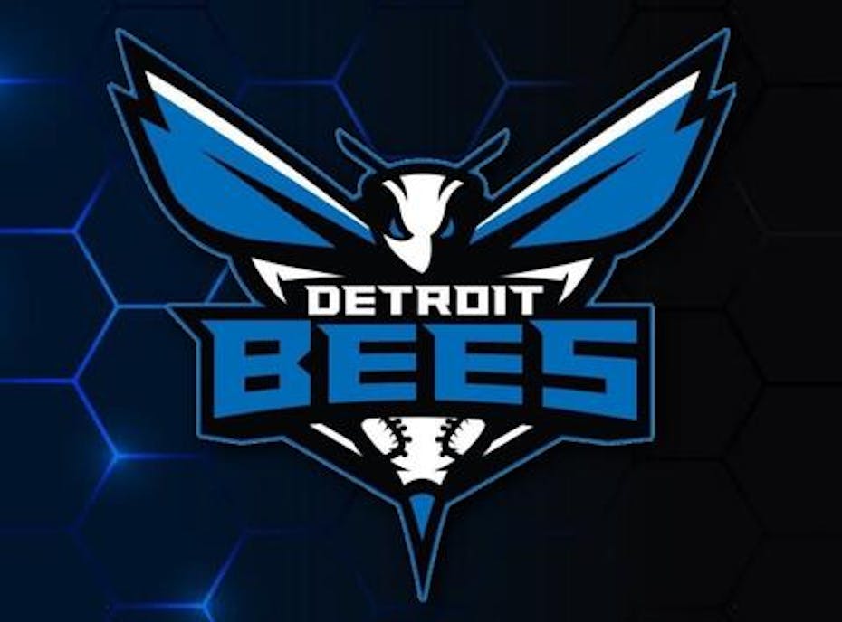 14U Detroit Bee's - MRT